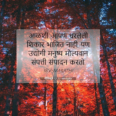 Picture 07 - नीतिसूत्रे 12:27 MARIRV - आळशी आपण धरलेली - Bible Verse Picture