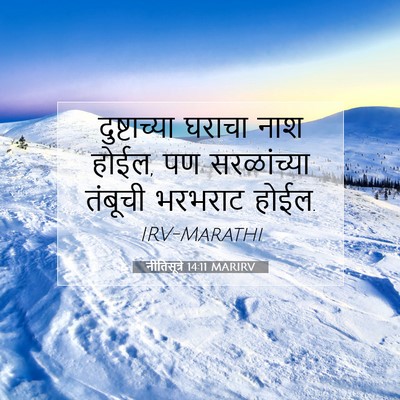 Picture 07 - नीतिसूत्रे 14:11 MARIRV - दुष्टाच्या घराचा - Bible Verse Picture