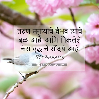 Picture 07 - नीतिसूत्रे 20:29 MARIRV - तरुण मनुष्याचे - Bible Verse Picture
