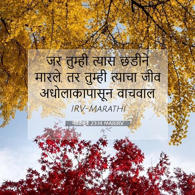 Picture 07 - नीतिसूत्रे 23:14 MARIRV - जर तुम्ही त्यास - Bible Verse Picture