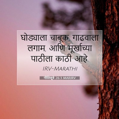 Picture 07 - नीतिसूत्रे 26:3 MARIRV - घोड्याला चाबूक, - Bible Verse Picture