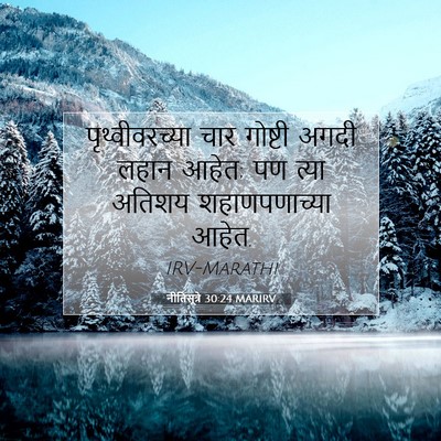 Picture 07 - नीतिसूत्रे 30:24 MARIRV - पृथ्वीवरच्या चार - Bible Verse Picture