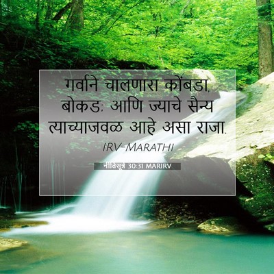 Picture 07 - नीतिसूत्रे 30:31 MARIRV - गर्वाने चालणारा - Bible Verse Picture