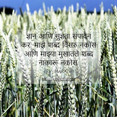 Picture 07 - नीतिसूत्रे 4:5 MARIRV - ज्ञान आणि सुज्ञता - Bible Verse Picture