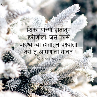 Picture 07 - नीतिसूत्रे 6:5 MARIRV - शिकाऱ्याच्या - Bible Verse Picture