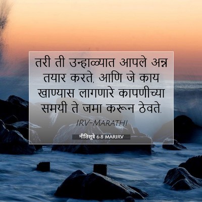 Picture 07 - नीतिसूत्रे 6:8 MARIRV - तरी ती उन्हाळ्यात - Bible Verse Picture