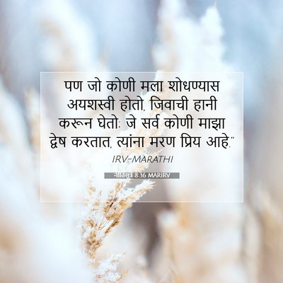 Picture 07 - नीतिसूत्रे 8:36 MARIRV - पण जो कोणी मला - Bible Verse Picture
