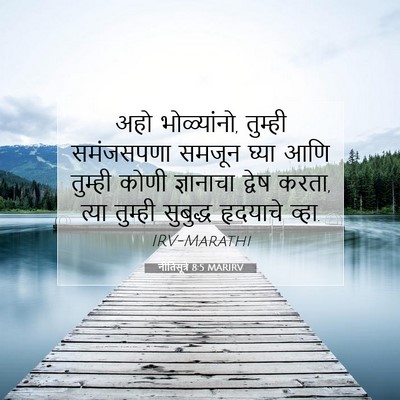 Picture 07 - नीतिसूत्रे 8:5 MARIRV - अहो भोळ्यांनो, - Bible Verse Picture