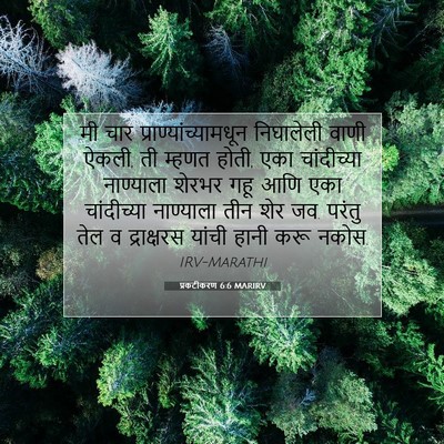 Picture 07 - प्रकटीकरण 6:6 MARIRV - मी चार - Bible Verse Picture