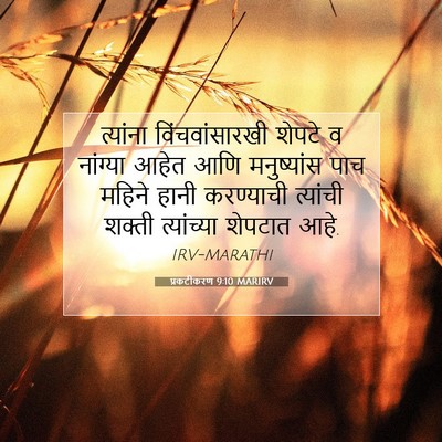 Picture 07 - प्रकटीकरण 9:10 MARIRV - त्यांना - Bible Verse Picture
