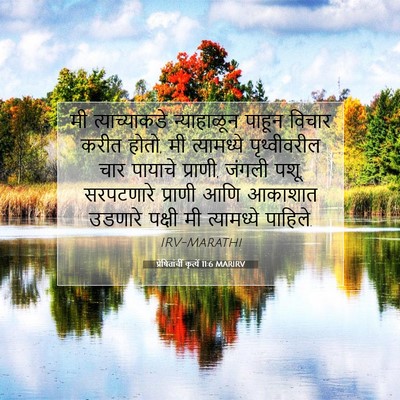 Picture 07 - प्रेषितांचीं कृत्यें 11:6 MARIRV - मी त्याच्याकडे - Bible Verse Picture