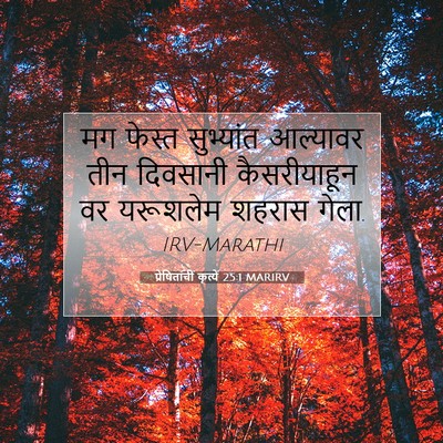 Picture 07 - प्रेषितांचीं कृत्यें 25:1 MARIRV - मग फेस्त सुभ्यांत - Bible Verse Picture
