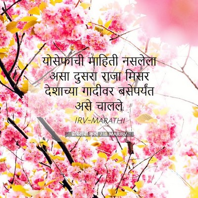 Picture 07 - प्रेषितांचीं कृत्यें 7:18 MARIRV - योसेफाची माहिती - Bible Verse Picture