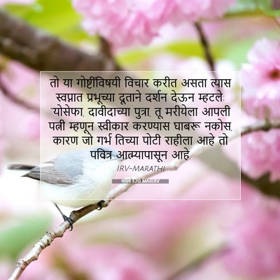 Picture 07 - मत्तय 1:20 MARIRV - तो या - Bible Verse Picture