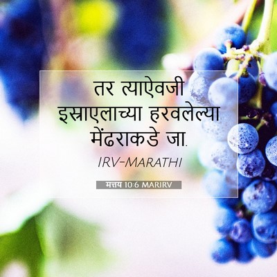 Picture 07 - मत्तय 10:6 MARIRV - तर त्याऐवजी - Bible Verse Picture