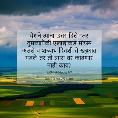Picture 07 - मत्तय 12:11 MARIRV - येशूने त्यांना - Bible Verse Picture
