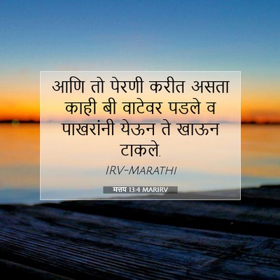 Picture 07 - मत्तय 13:4 MARIRV - आणि तो पेरणी करीत - Bible Verse Picture