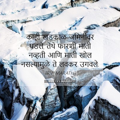 Picture 07 - मत्तय 13:5 MARIRV - काही खडकाळ - Bible Verse Picture