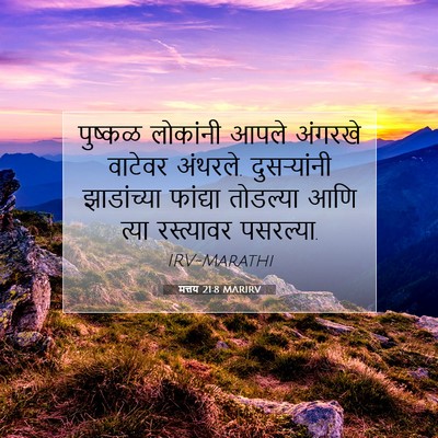 Picture 07 - मत्तय 21:8 MARIRV - पुष्कळ लोकांनी - Bible Verse Picture