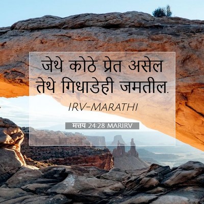 Picture 07 - मत्तय 24:28 MARIRV - जेथे कोठे प्रेत - Bible Verse Picture