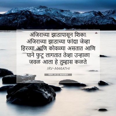 Picture 07 - मत्तय 24:32 MARIRV - अंजिराच्या - Bible Verse Picture