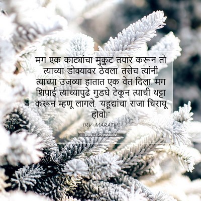 Picture 07 - मत्तय 27:29 MARIRV - मग एक काट्यांचा - Bible Verse Picture