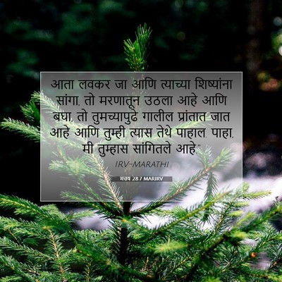 Picture 07 - मत्तय 28:7 MARIRV - आता लवकर जा आणि - Bible Verse Picture