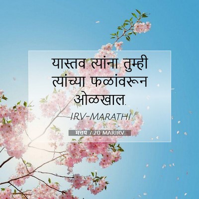 Picture 07 - मत्तय 7:20 MARIRV - यास्तव त्यांना - Bible Verse Picture