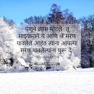 Picture 07 - मत्तय 8:22 MARIRV - येशूने त्यास - Bible Verse Picture