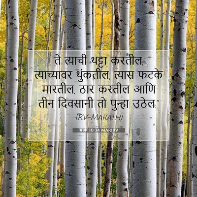 Picture 07 - मार्क 10:34 MARIRV - ते त्याची थट्टा - Bible Verse Picture