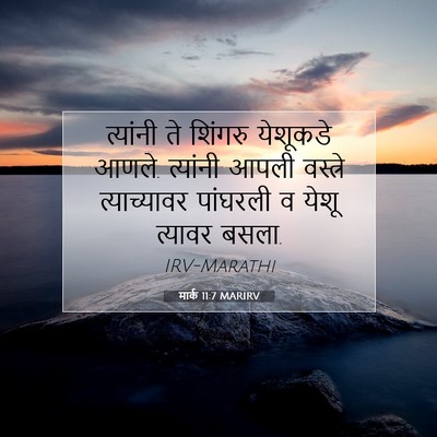 Picture 07 - मार्क 11:7 MARIRV - त्यांनी ते शिंगरु - Bible Verse Picture