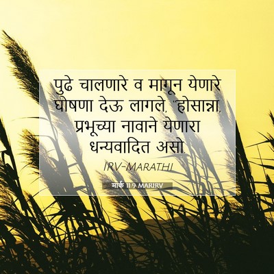 Picture 07 - मार्क 11:9 MARIRV - पुढे चालणारे व - Bible Verse Picture
