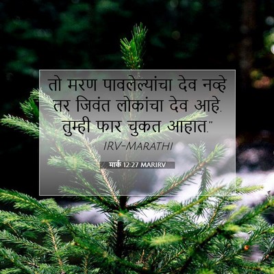 Picture 07 - मार्क 12:27 MARIRV - तो मरण - Bible Verse Picture