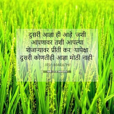 Picture 07 - मार्क 12:31 MARIRV - दुसरी आज्ञा ही आहे, - Bible Verse Picture