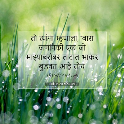 Picture 07 - मार्क 14:20 MARIRV - तो त्यांना - Bible Verse Picture