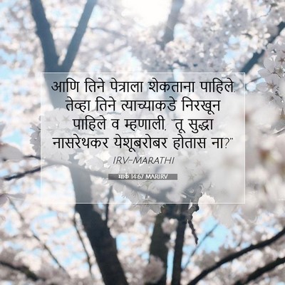 Picture 07 - मार्क 14:67 MARIRV - आणि तिने पेत्राला - Bible Verse Picture