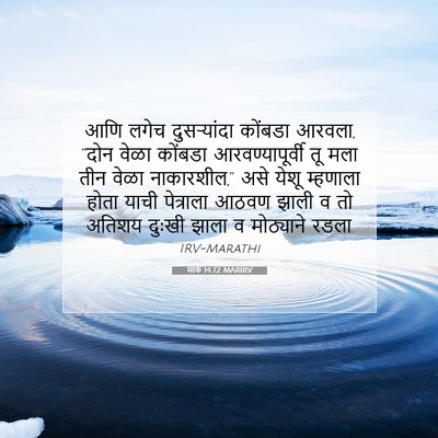 Picture 07 - मार्क 14:72 MARIRV - आणि लगेच - Bible Verse Picture