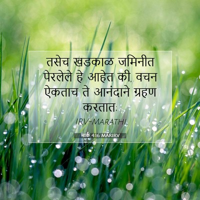 Picture 07 - मार्क 4:16 MARIRV - तसेच खडकाळ जमिनीत - Bible Verse Picture
