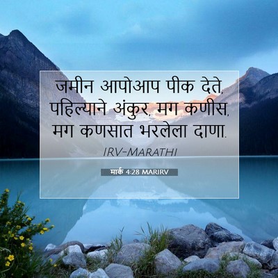 Picture 07 - मार्क 4:28 MARIRV - जमीन आपोआप पीक - Bible Verse Picture