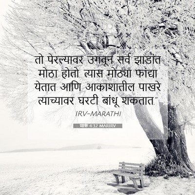 Picture 07 - मार्क 4:32 MARIRV - तो पेरल्यावर - Bible Verse Picture