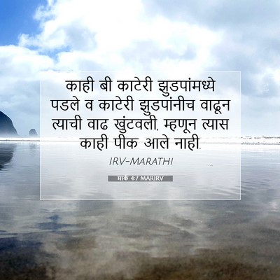 Picture 07 - मार्क 4:7 MARIRV - काही बी काटेरी - Bible Verse Picture