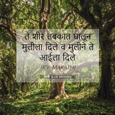 Picture 07 - मार्क 6:28 MARIRV - ते शीर तबकात घालून - Bible Verse Picture