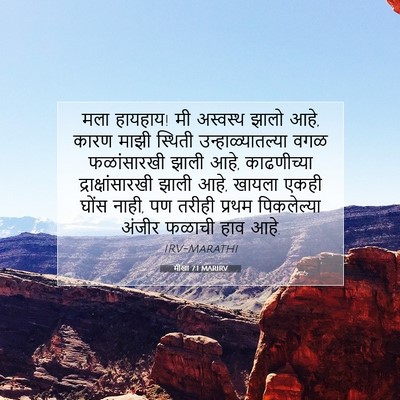Picture 07 - मीखा 7:1 MARIRV - मला हायहाय! मी - Bible Verse Picture