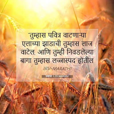 Picture 07 - यशया 1:29 MARIRV - “तुम्हास पवित्र - Bible Verse Picture