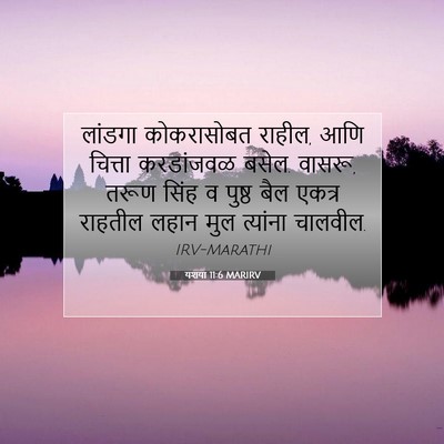 Picture 07 - यशया 11:6 MARIRV - लांडगा कोकरासोबत - Bible Verse Picture