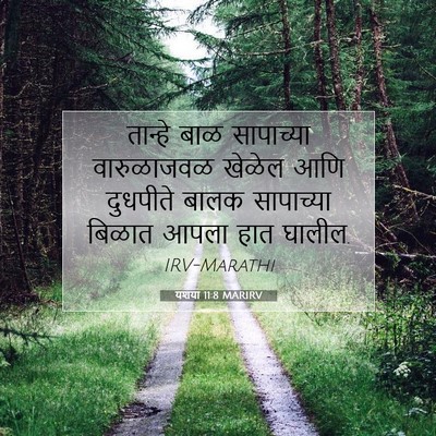 Picture 07 - यशया 11:8 MARIRV - तान्हे बाळ - Bible Verse Picture