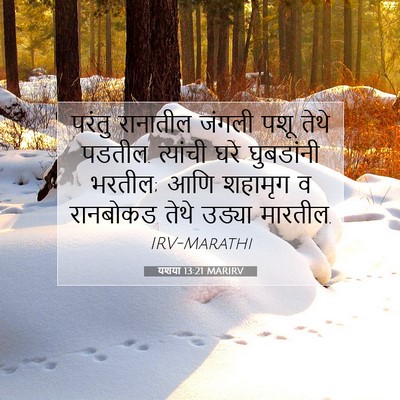 Picture 07 - यशया 13:21 MARIRV - परंतु रानातील - Bible Verse Picture