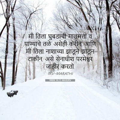 Picture 07 - यशया 14:23 MARIRV - मी तिला घुबडाची - Bible Verse Picture