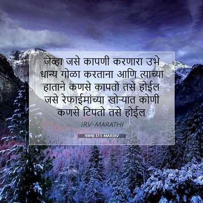 Picture 07 - यशया 17:5 MARIRV - जेव्हा जसे कापणी - Bible Verse Picture