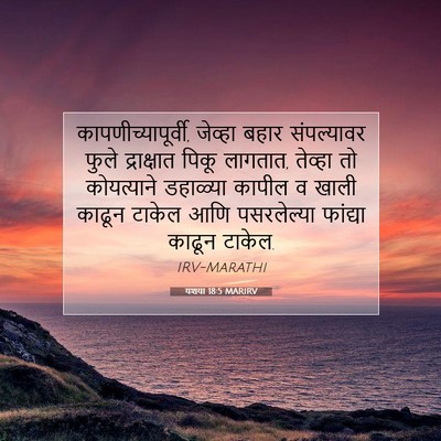 Picture 07 - यशया 18:5 MARIRV - कापणीच्यापूर्वी, - Bible Verse Picture